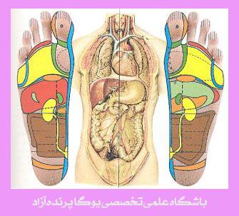 ,yoga,یوگا,یوگا کرج,یوگا استان البرز,کلاس یوگا,مرکز تخصصی یوگا,باشگاه نمونه یوگا,رفلکسولوژی,بازتاب درمانی,بازتاب شناسی,درمانهای شفابخض,طب کل نگر,درمانهای نامتعارف,باشگاه تخصصی یوگا پرنده آزاد کرج, ,yoga,یوگا,یوگا کرج,یوگا استان البرز,کلاس یوگا,مرکز تخصصی یوگا,باشگاه نمونه یوگا,رفلکسولوژی,بازتاب درمانی,بازتاب شناسی,درمانهای شفابخض,طب کل نگر,درمانهای نامتعارف,باشگاه تخصصی یوگا پرنده آزاد کرج,
